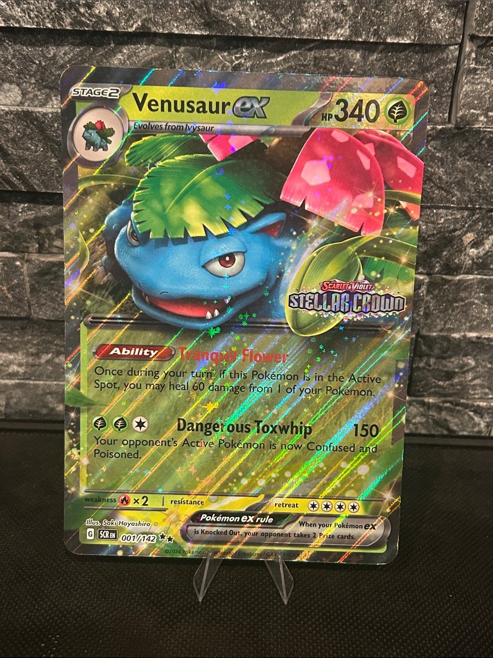 Pokemon  Venusaur‎ EX Jumbo Card 001/142 Black Star Promo Stellar Crown STAMPED